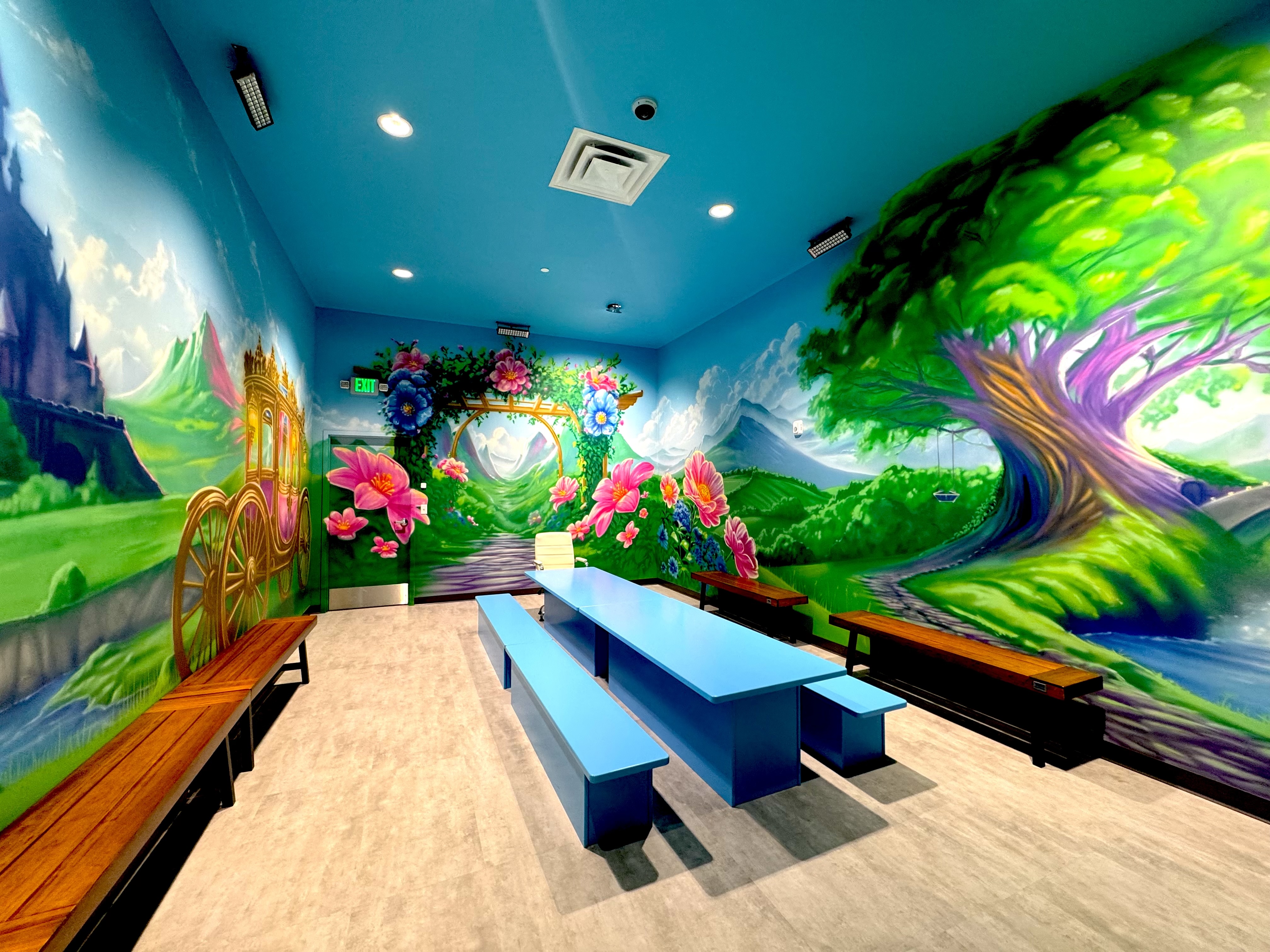 Princess Room Themed Room